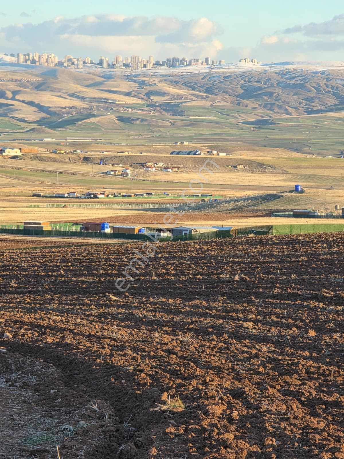 Sincan Anayurt Köyü Mevkinde 2 Dönüm Kupon Yatırımlık Hisse - Görsel 6