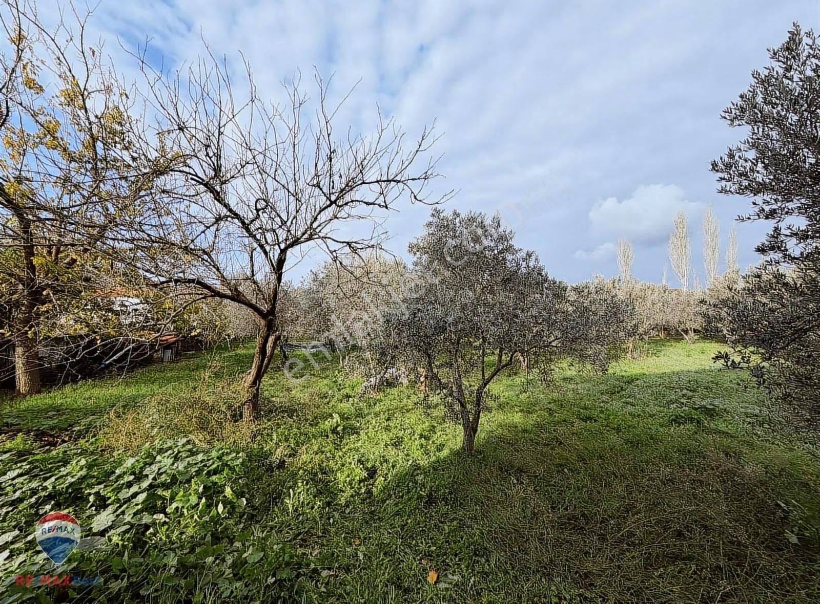 23 Remax Best Ofisinden 2646 M2 Arsa İçinde Satılık Müstakil Ev - Görsel 23