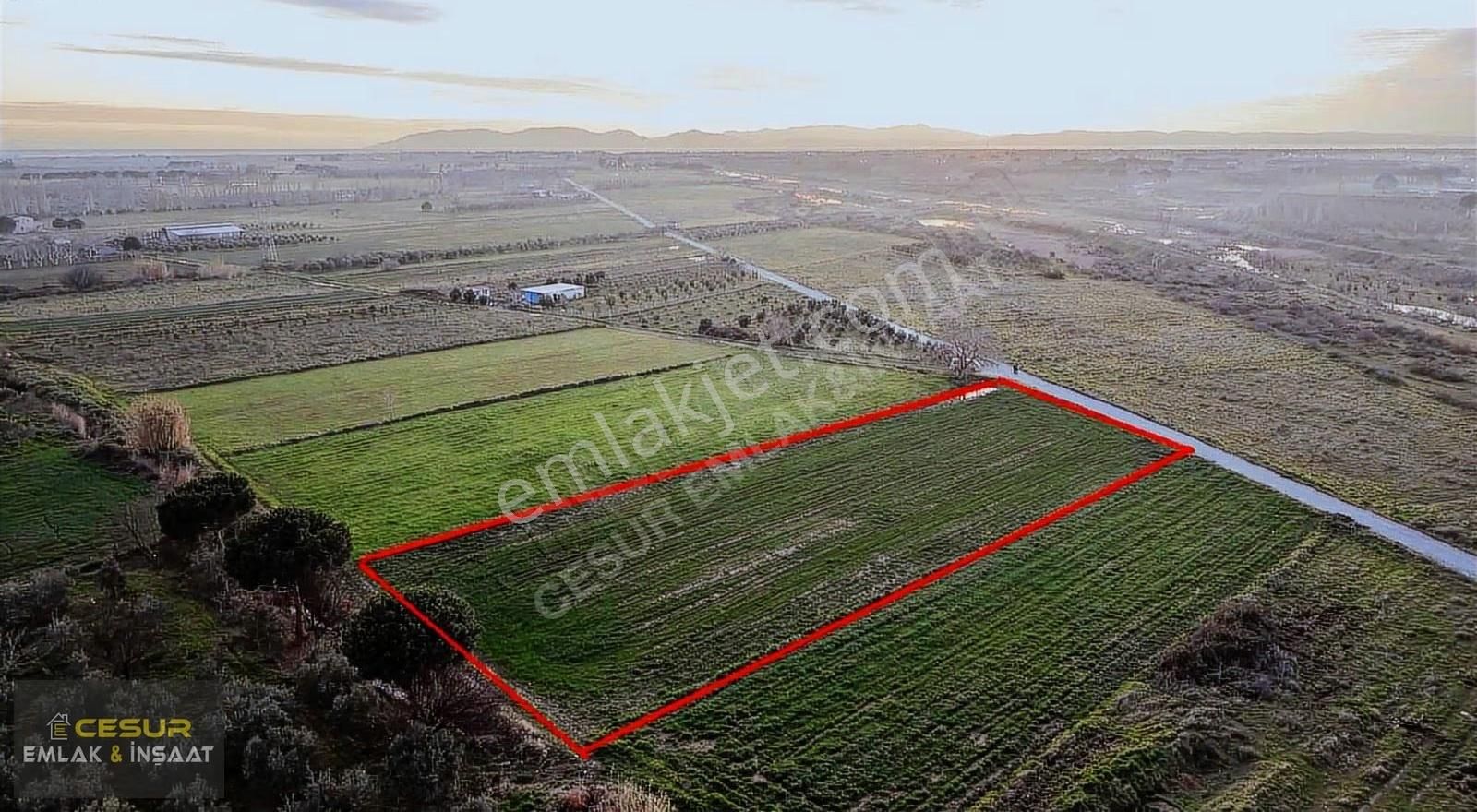 İzmir Dikili Bahçelide Çanakkale Yoluna Cepheli Satılık Tarla