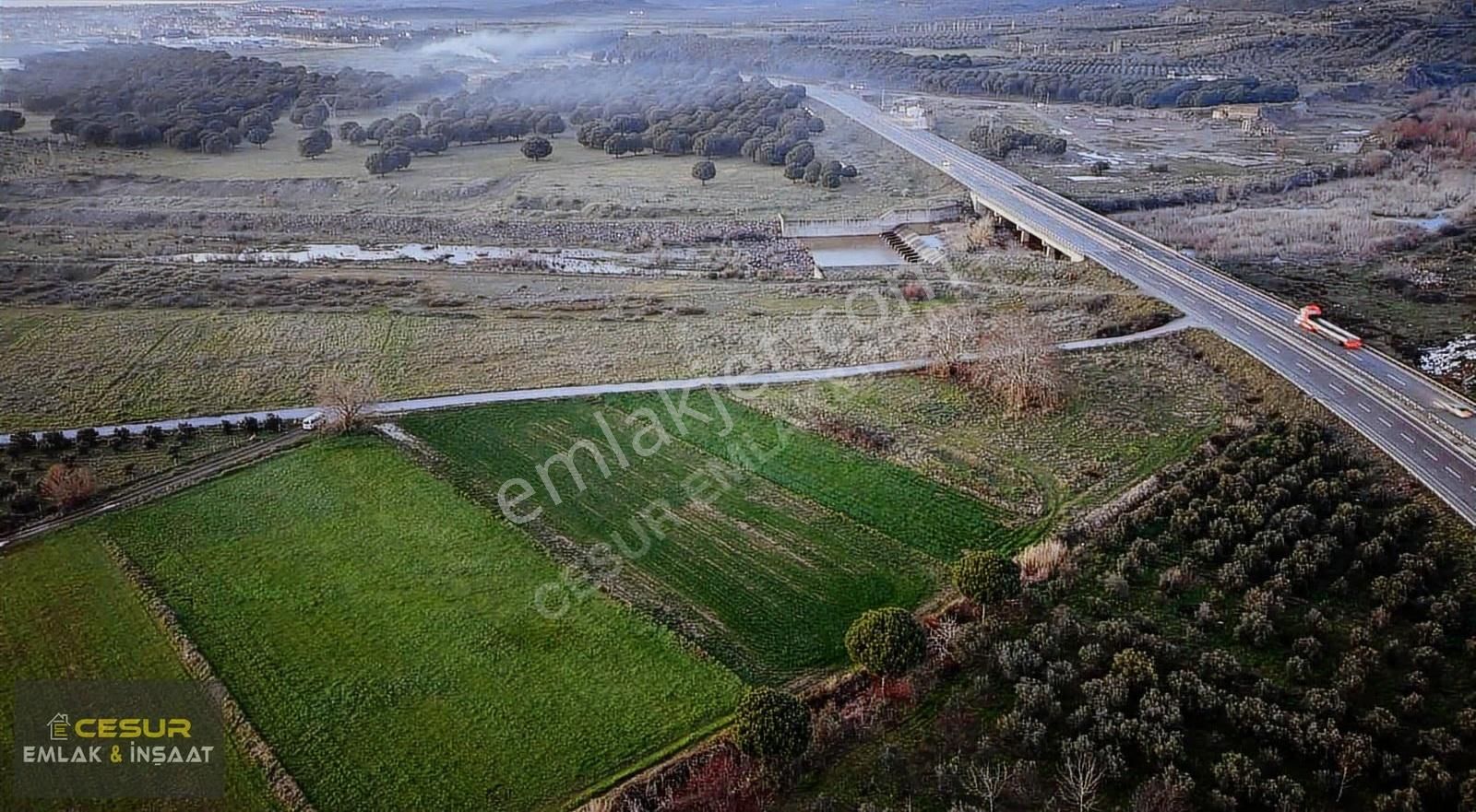 İzmir Dikili Bahçelide Çanakkale Yoluna Cepheli Satılık Tarla - Görsel 4