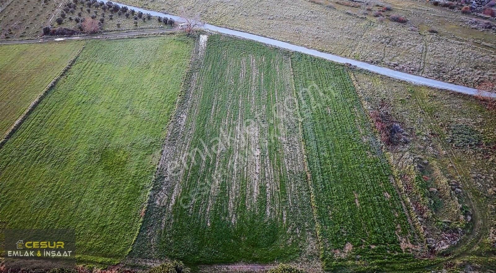 İzmir Dikili Bahçelide Çanakkale Yoluna Cepheli Satılık Tarla - Görsel 7