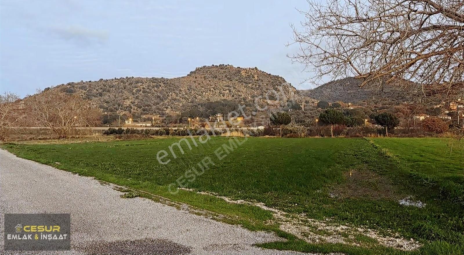 İzmir Dikili Bahçelide Çanakkale Yoluna Cepheli Satılık Tarla - Görsel 10