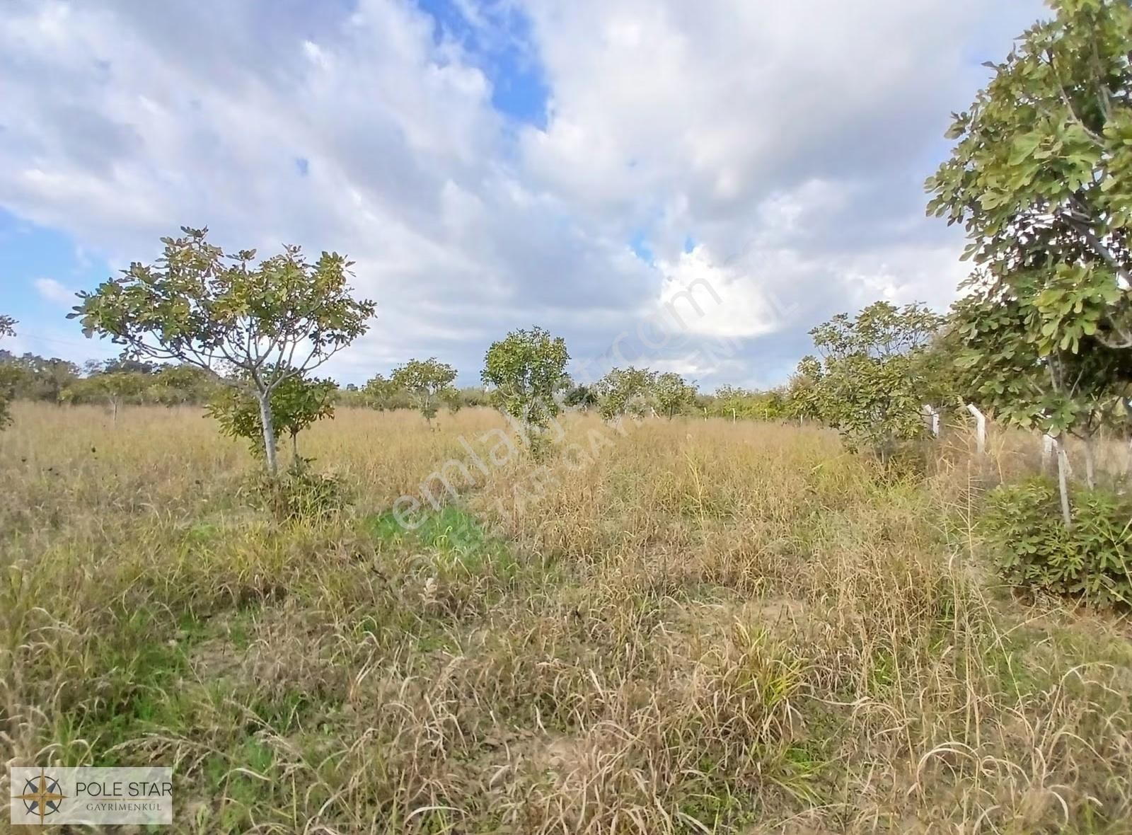 Termal Bölgede 5.620 M² İncir Bahçesi - Yatırım Fırsatı - Görsel 20