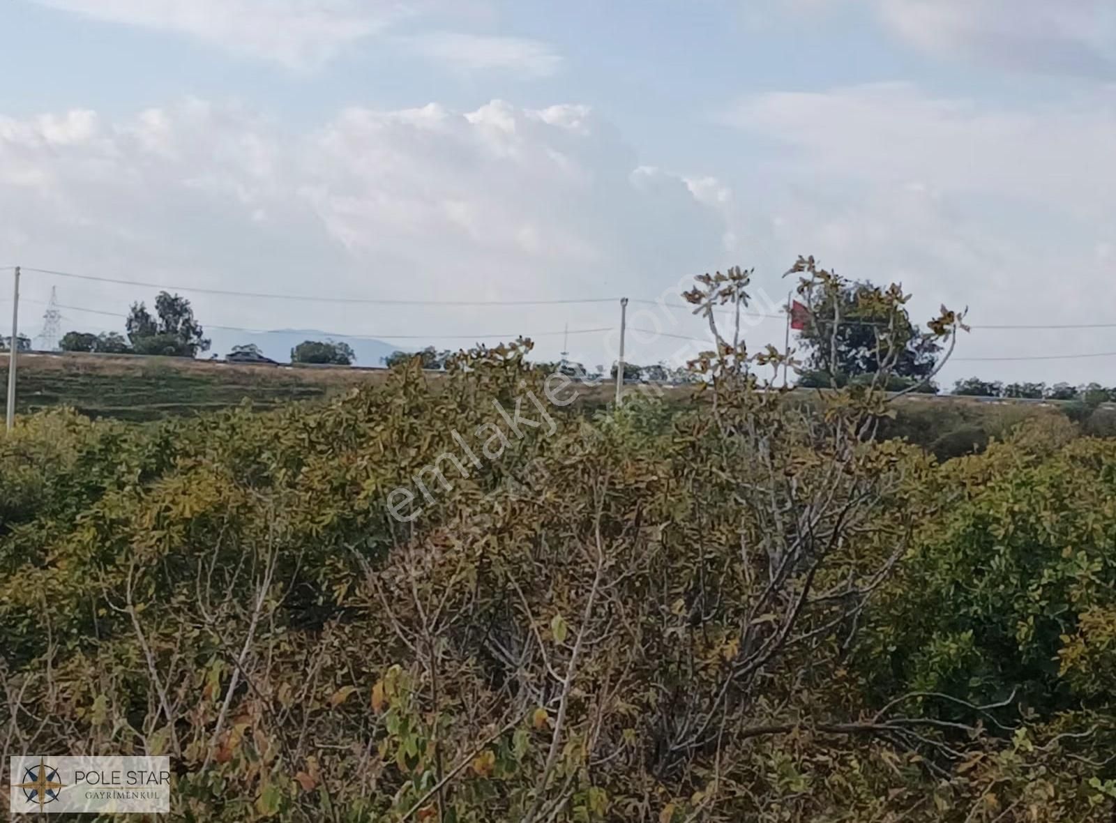 Termal Bölgede 5.620 M² İncir Bahçesi - Yatırım Fırsatı - Görsel 2