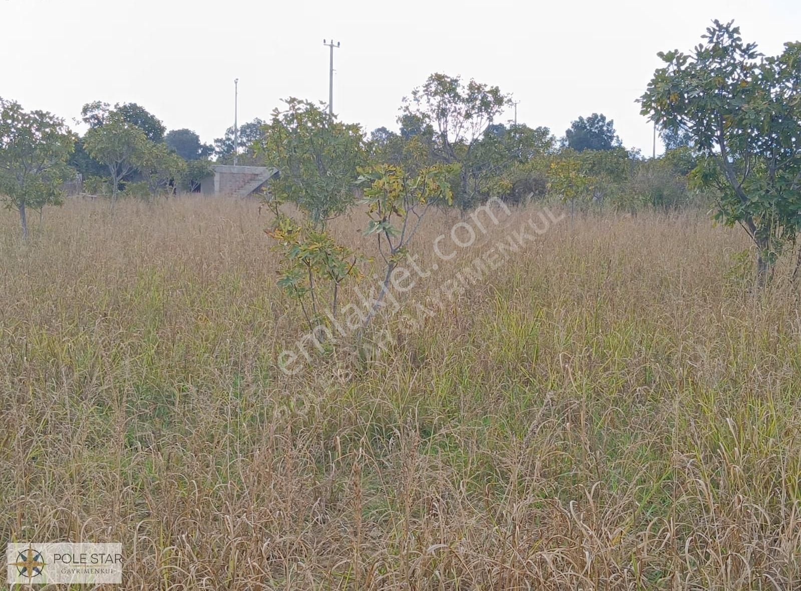 Termal Bölgede 5.620 M² İncir Bahçesi - Yatırım Fırsatı - Görsel 25