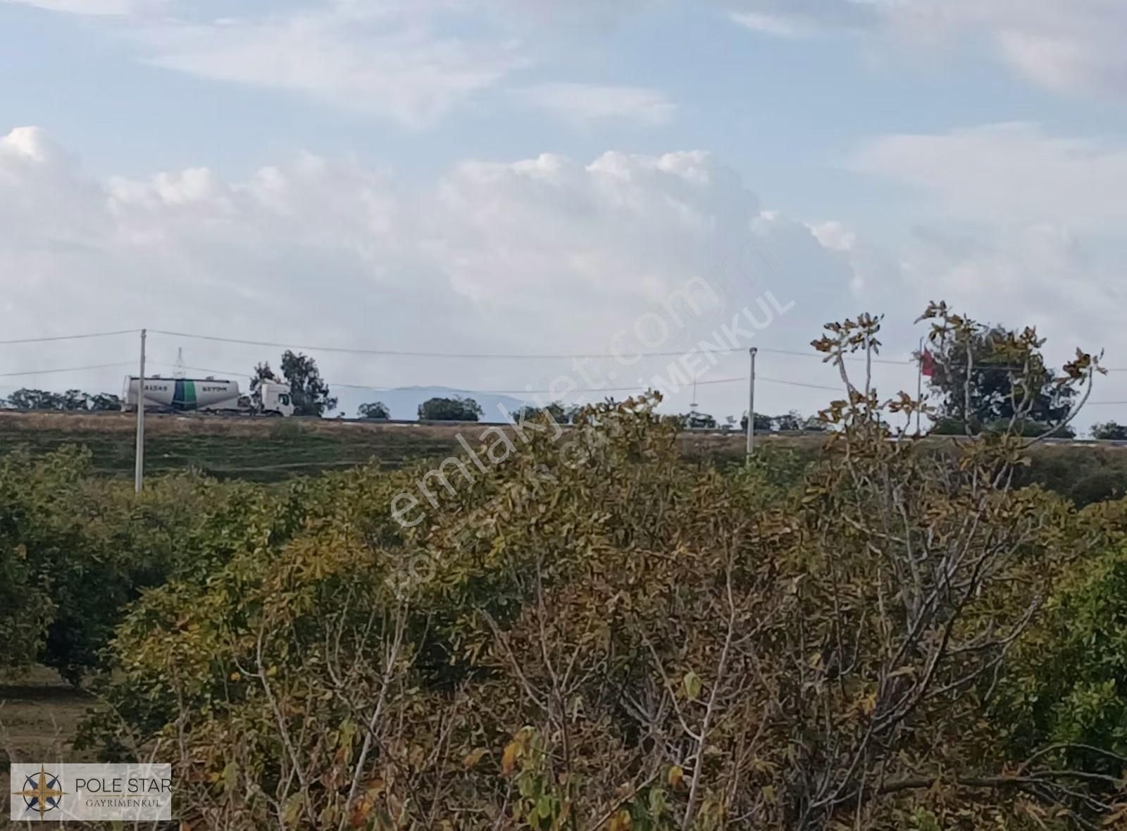 Termal Bölgede 5.620 M² İncir Bahçesi - Yatırım Fırsatı - Görsel 3