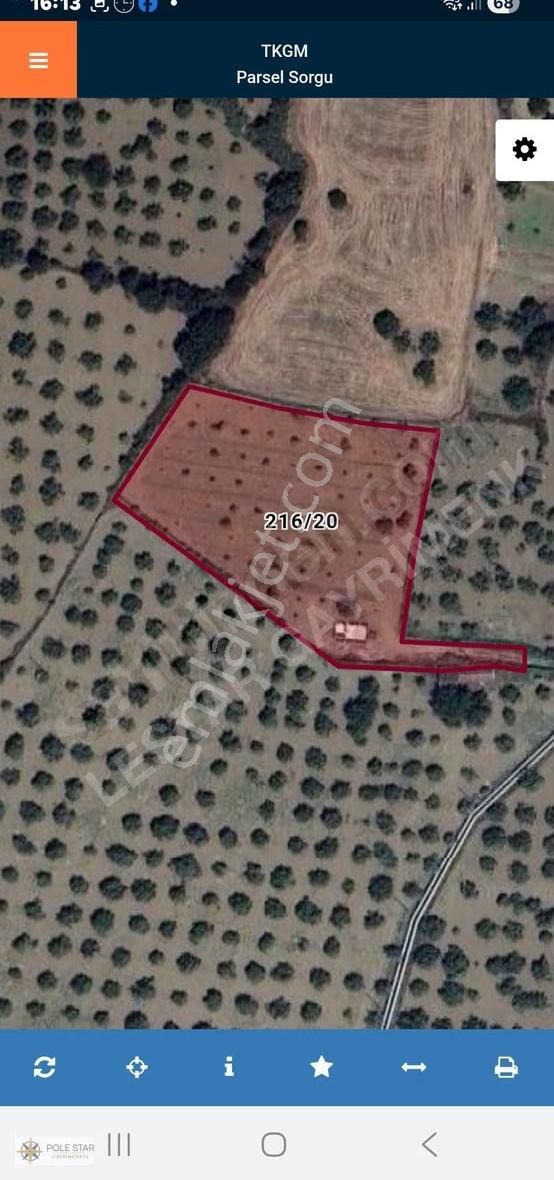 Termal Bölgede 5.620 M² İncir Bahçesi - Yatırım Fırsatı - Görsel 22