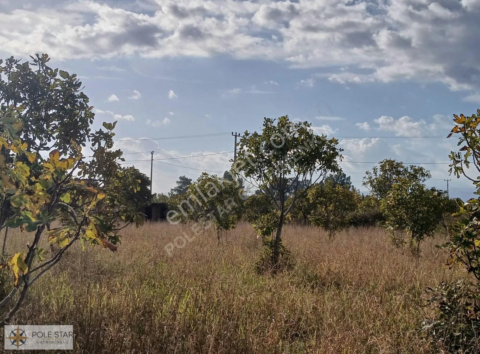 Termal Bölgede 5.620 M² İncir Bahçesi - Yatırım Fırsatı - Görsel 26