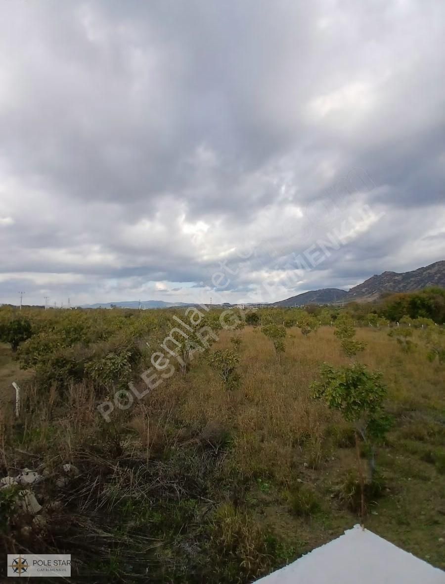 Termal Bölgede 5.620 M² İncir Bahçesi - Yatırım Fırsatı - Görsel 4