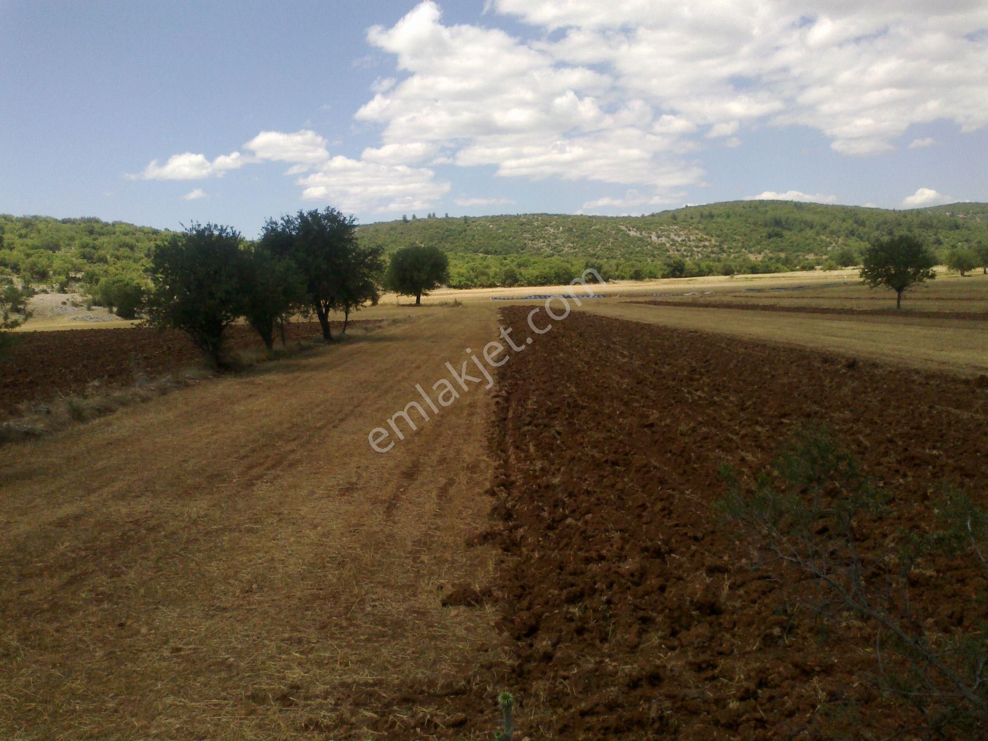 Gülagzın Da Satılık Arsa