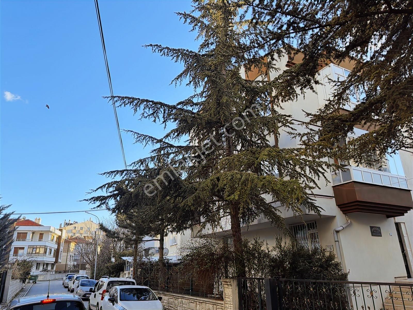 Talha Tozduman'dan Meram Havzan Mah. Yüksek Giriş 3+1 Daire - Görsel 3