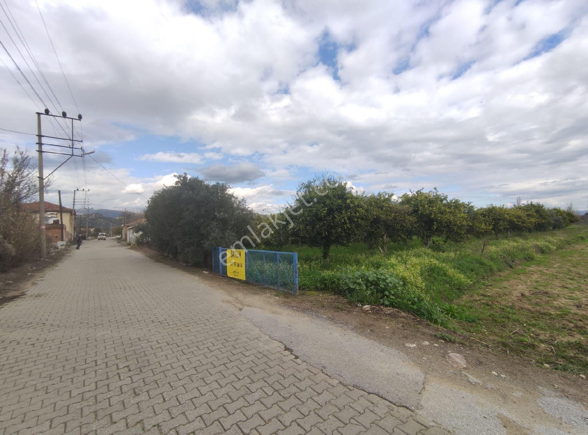 Nazilli Güzelköy'de Satılık 1.880 M2 Mükemmel Konumda Köy İçi Yol Üstünde Satılık Fırsat Arsa