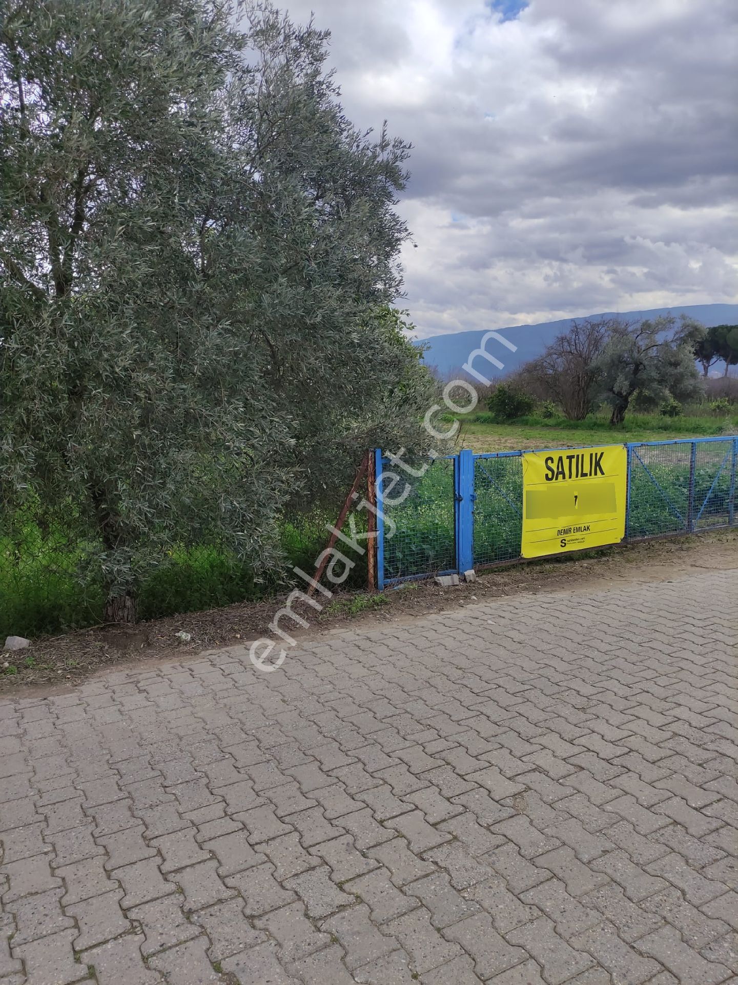 Nazilli Güzelköy'de Satılık 1.880 M2 Mükemmel Konumda Köy İçi Yol Üstünde Satılık Fırsat Arsa - Görsel 3