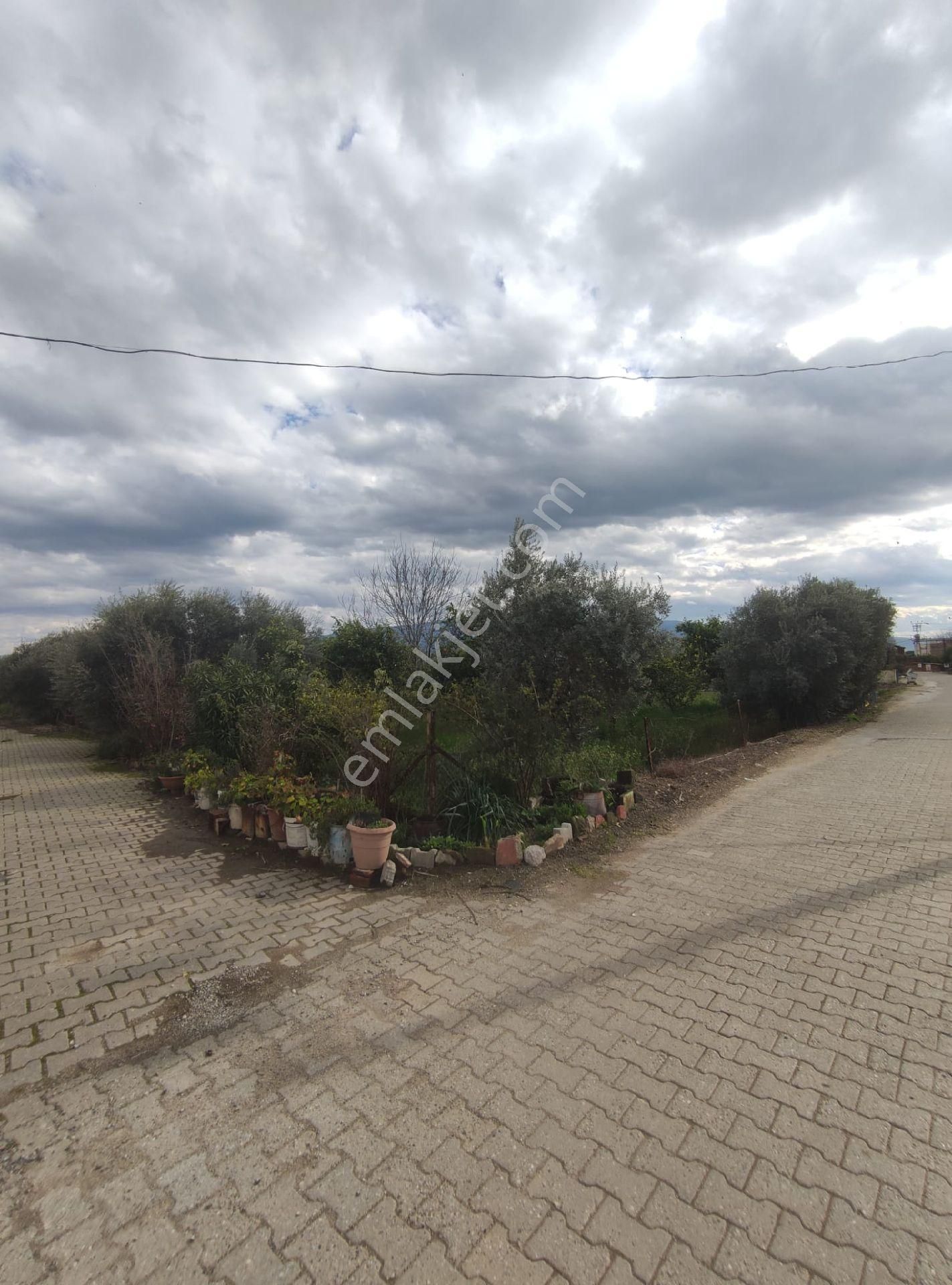 Nazilli Güzelköy'de Satılık 1.880 M2 Mükemmel Konumda Köy İçi Yol Üstünde Satılık Fırsat Arsa - Görsel 7