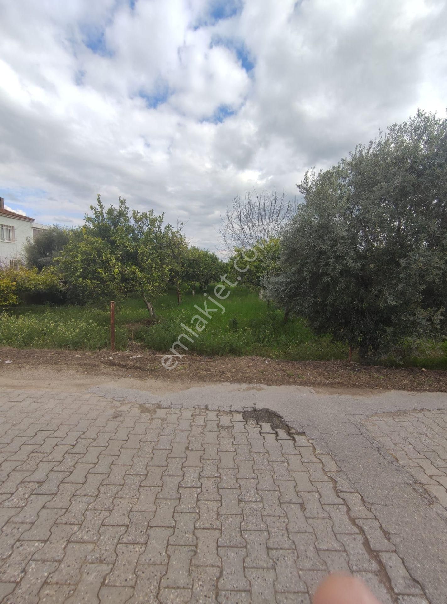 Nazilli Güzelköy'de Satılık 1.880 M2 Mükemmel Konumda Köy İçi Yol Üstünde Satılık Fırsat Arsa - Görsel 22