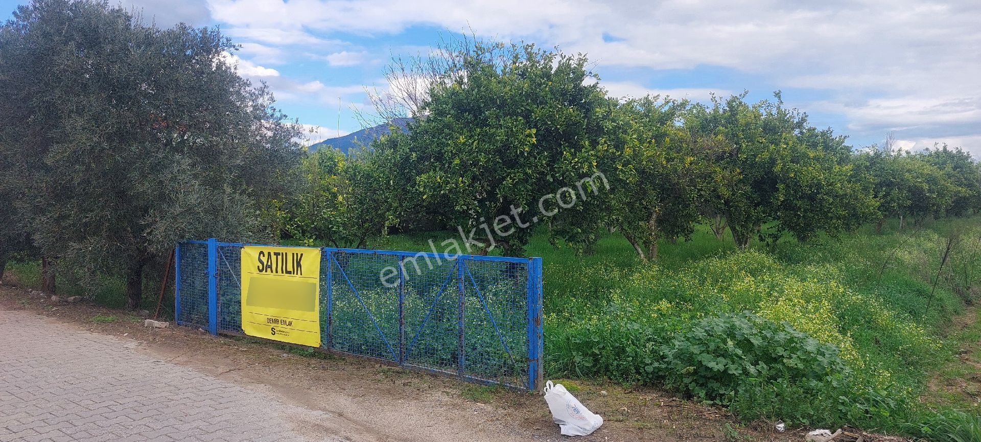 Nazilli Güzelköy'de Satılık 1.880 M2 Mükemmel Konumda Köy İçi Yol Üstünde Satılık Fırsat Arsa - Görsel 13