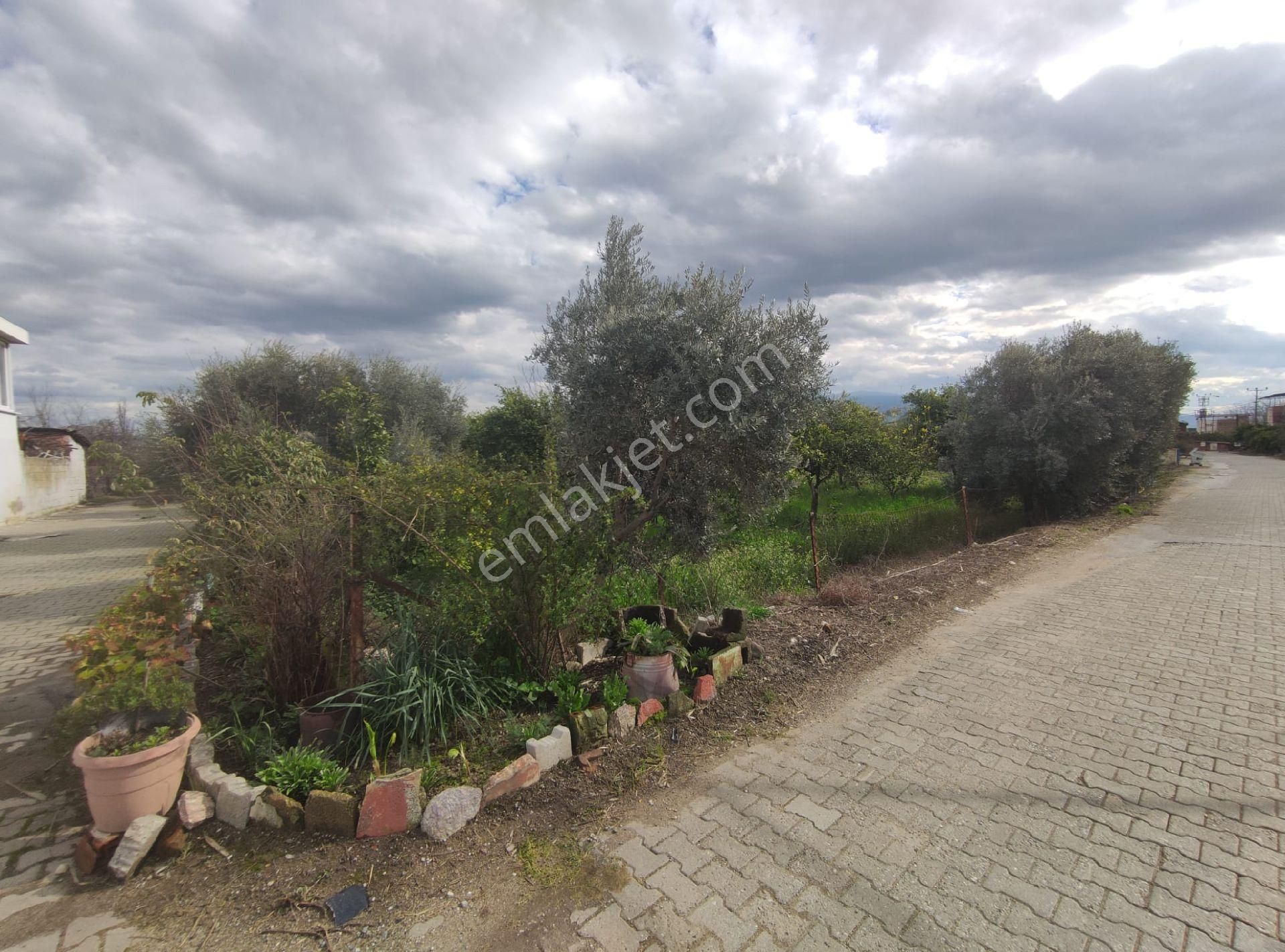 Nazilli Güzelköy'de Satılık 1.880 M2 Mükemmel Konumda Köy İçi Yol Üstünde Satılık Fırsat Arsa - Görsel 10