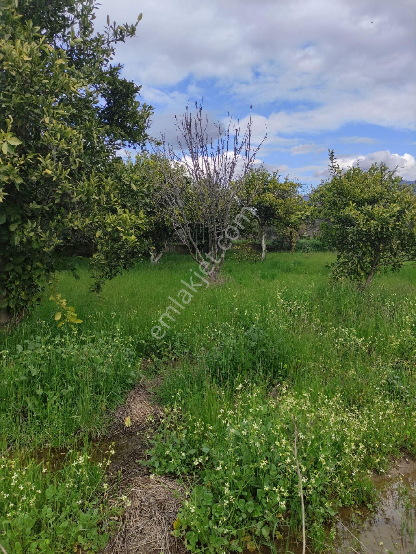 Nazilli Güzelköy'de Satılık 1.880 M2 Mükemmel Konumda Köy İçi Yol Üstünde Satılık Fırsat Arsa - Görsel 20