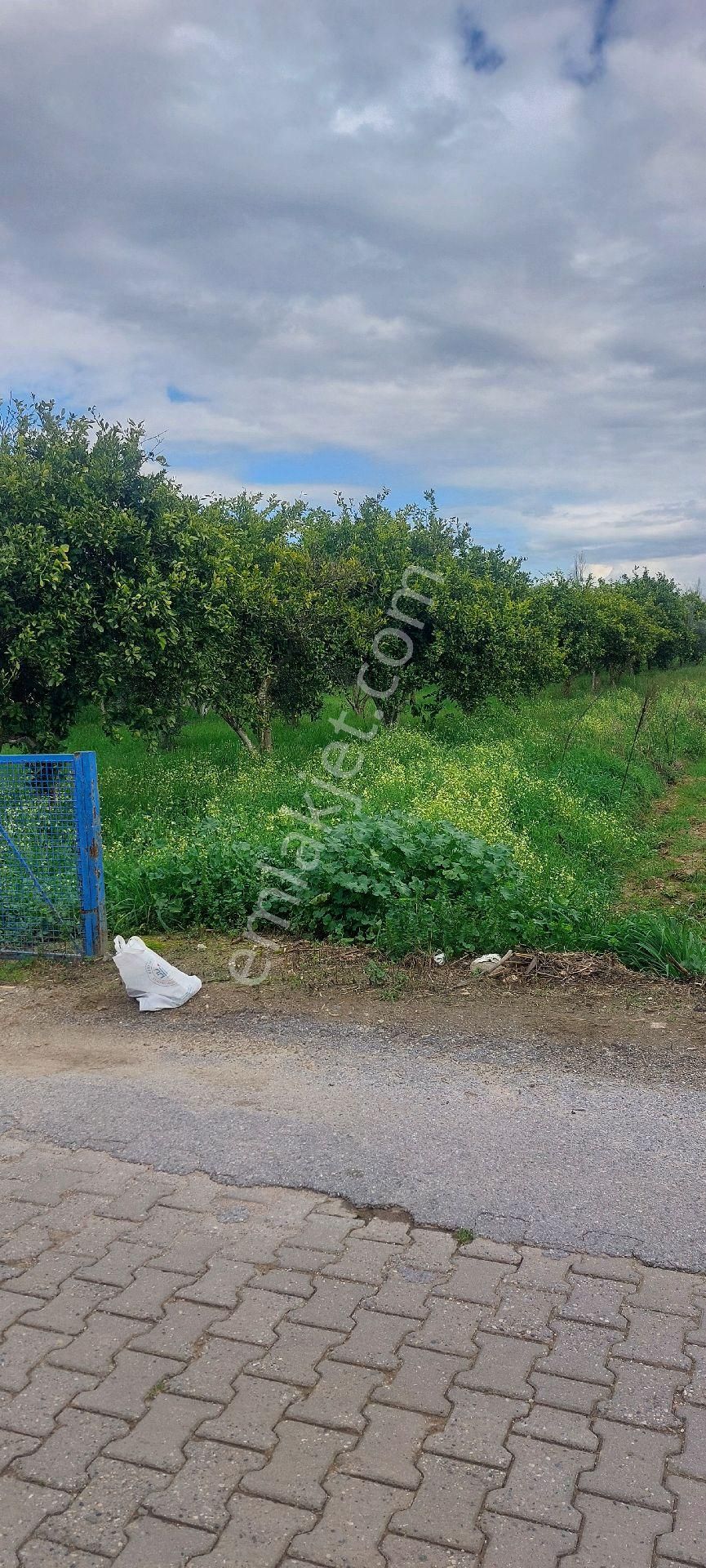 Nazilli Güzelköy'de Satılık 1.880 M2 Mükemmel Konumda Köy İçi Yol Üstünde Satılık Fırsat Arsa - Görsel 14