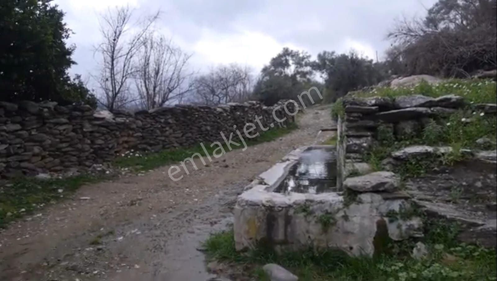 Alaçamda Yatırıma Uygun, Yolu Olan 2.467 M² Müstakil Tarla - Görsel 4