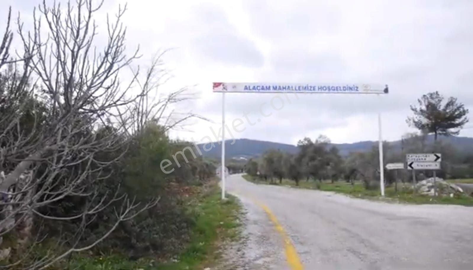 Alaçamda Yatırıma Uygun, Yolu Olan 2.467 M² Müstakil Tarla - Görsel 3