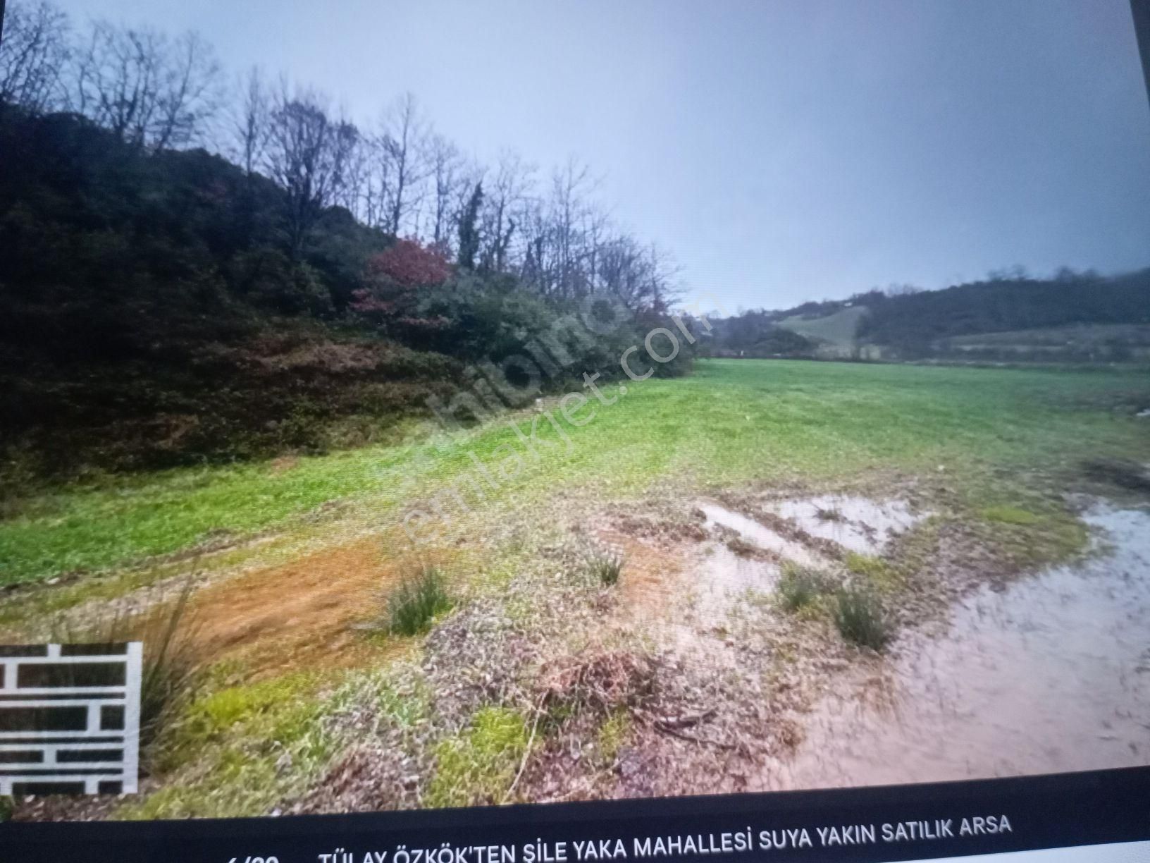 Tülay Özkökten Şile Yaka Mahallesi Suya Yakın Satılık Arsa