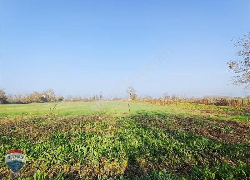 Satılık Tarla Sakarya Serdivan Selahiyede 7.049m2 Re/max Maviden - Görsel 9