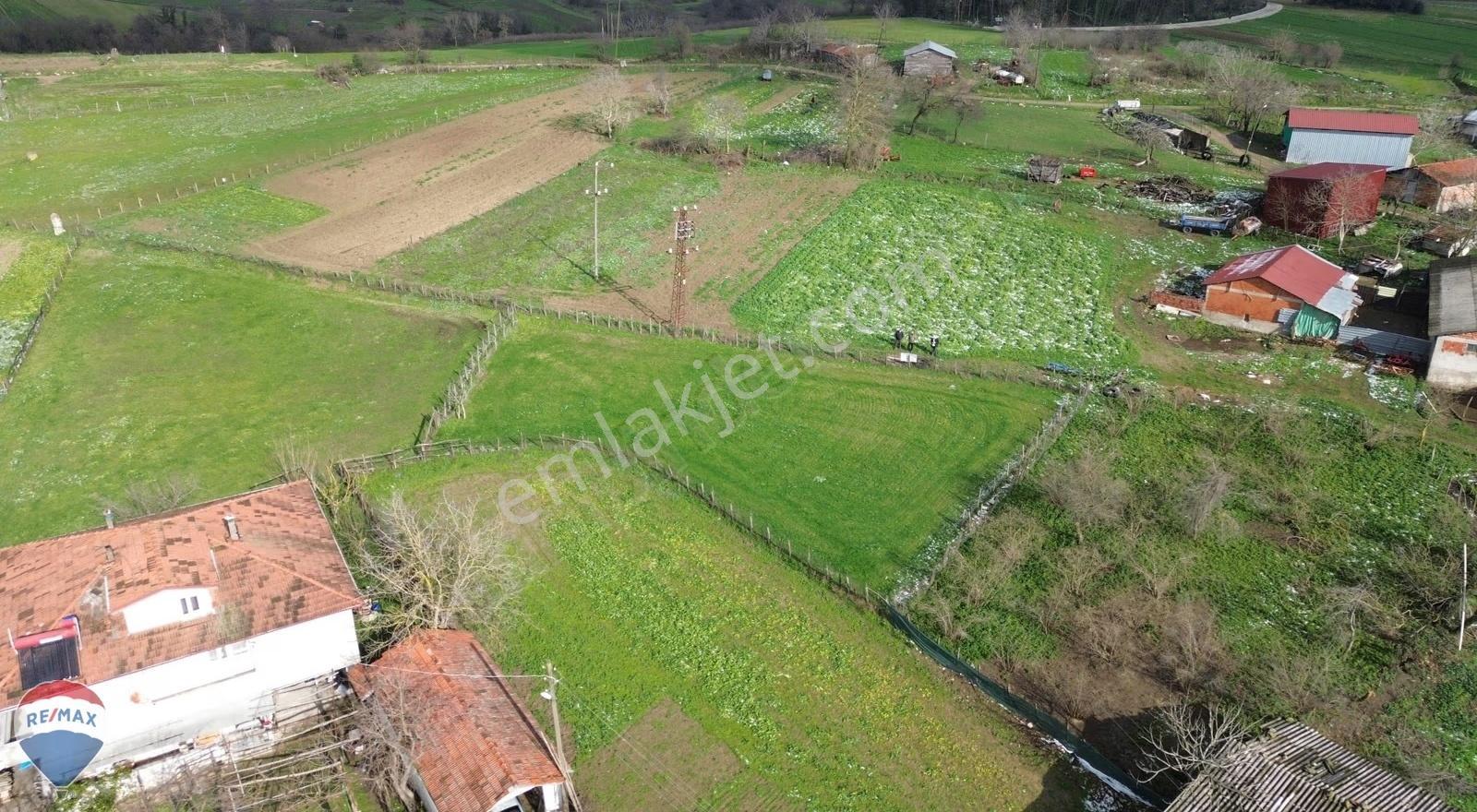Remax Mavi Rıdvan Gedikten Kaynarcada Satılık 565 M2 Arsa - Görsel 2
