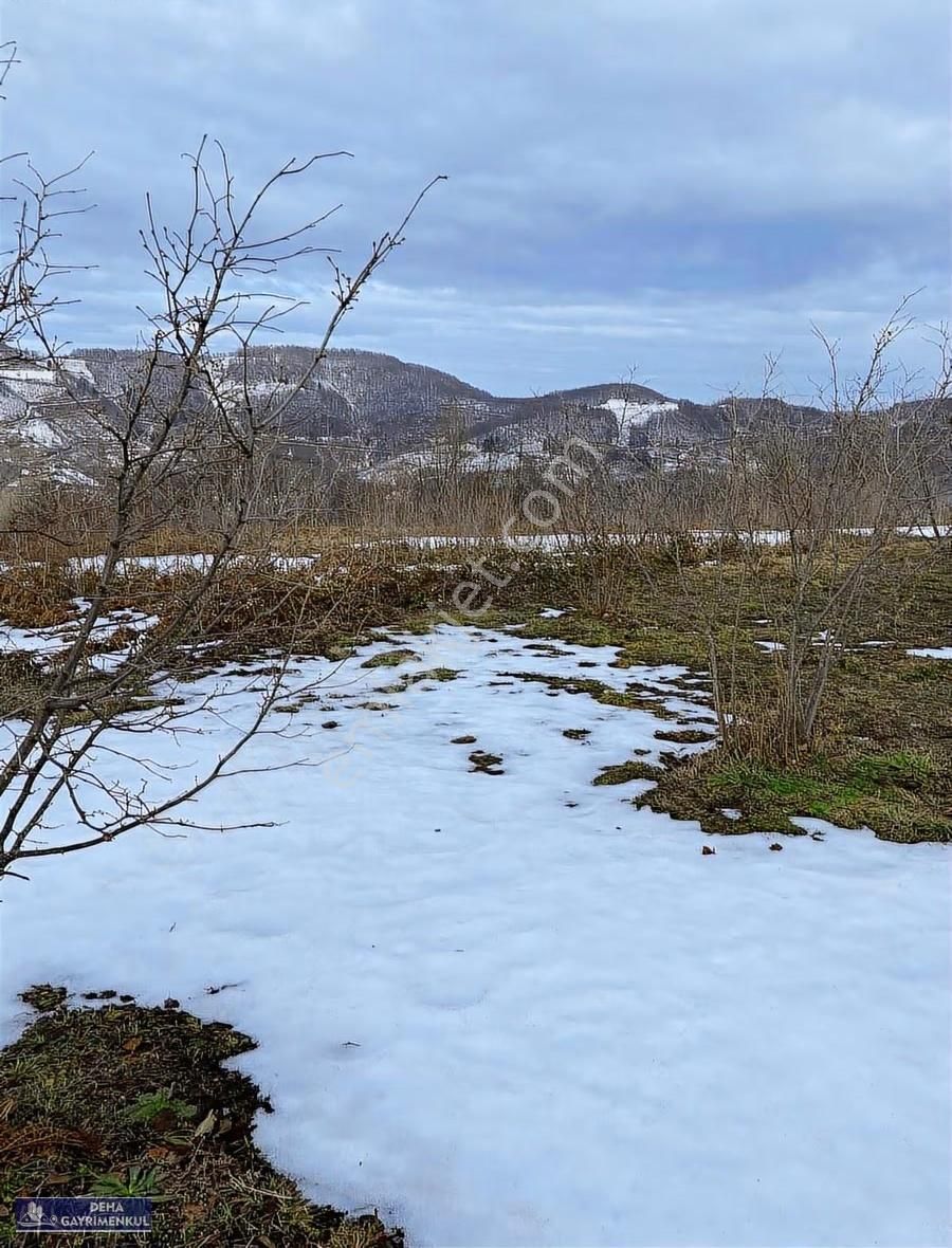 Dikmen Köyünde Geniş ,yolu, Suyu, Elektiriği Olan Arazi