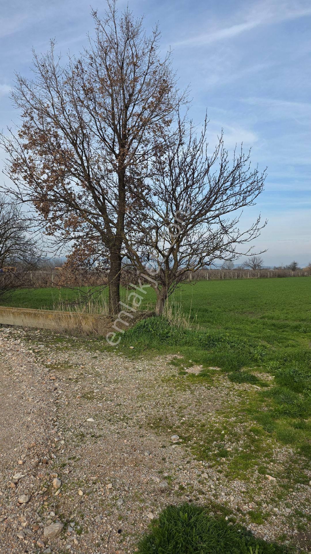 Manisa Muradiye – Cbü Kampüs Yoluyatırımlık | 19.150 M² | 3 Tapu | Tek Satış - Görsel 17
