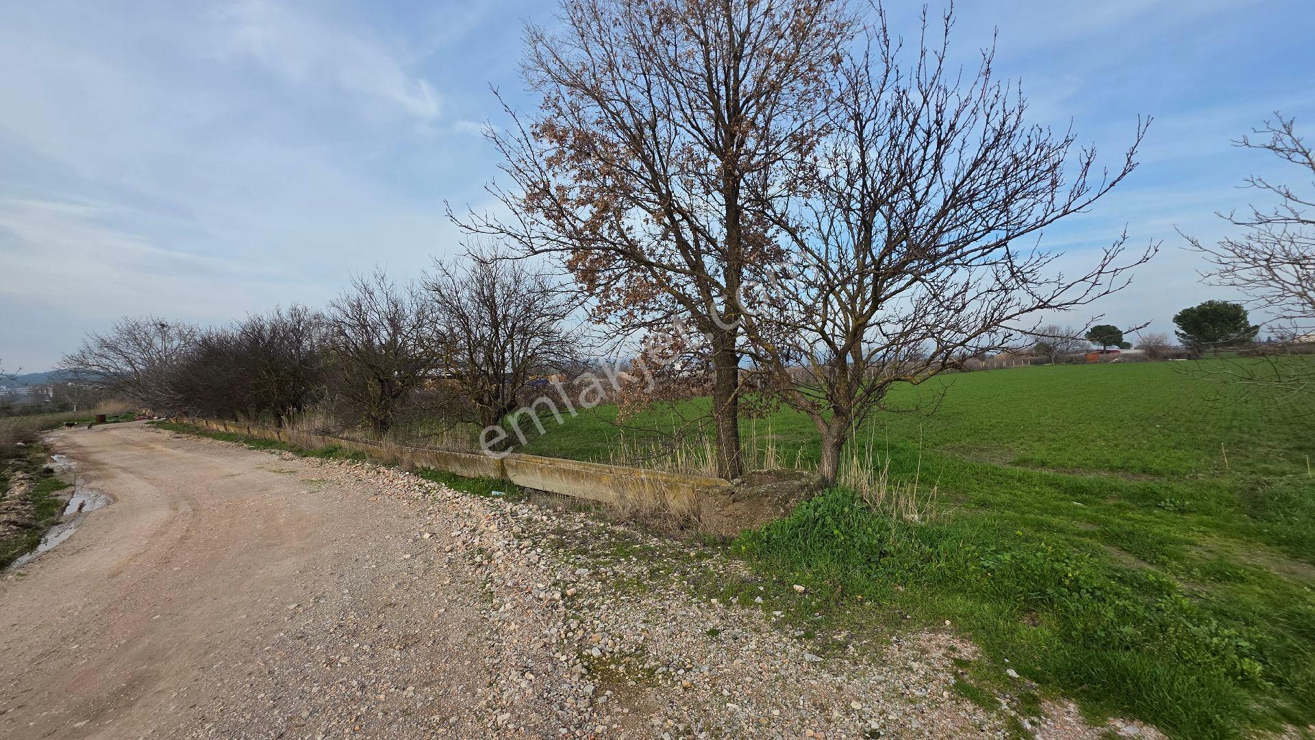 Manisa Muradiye – Cbü Kampüs Yoluyatırımlık | 19.150 M² | 3 Tapu | Tek Satış - Görsel 29