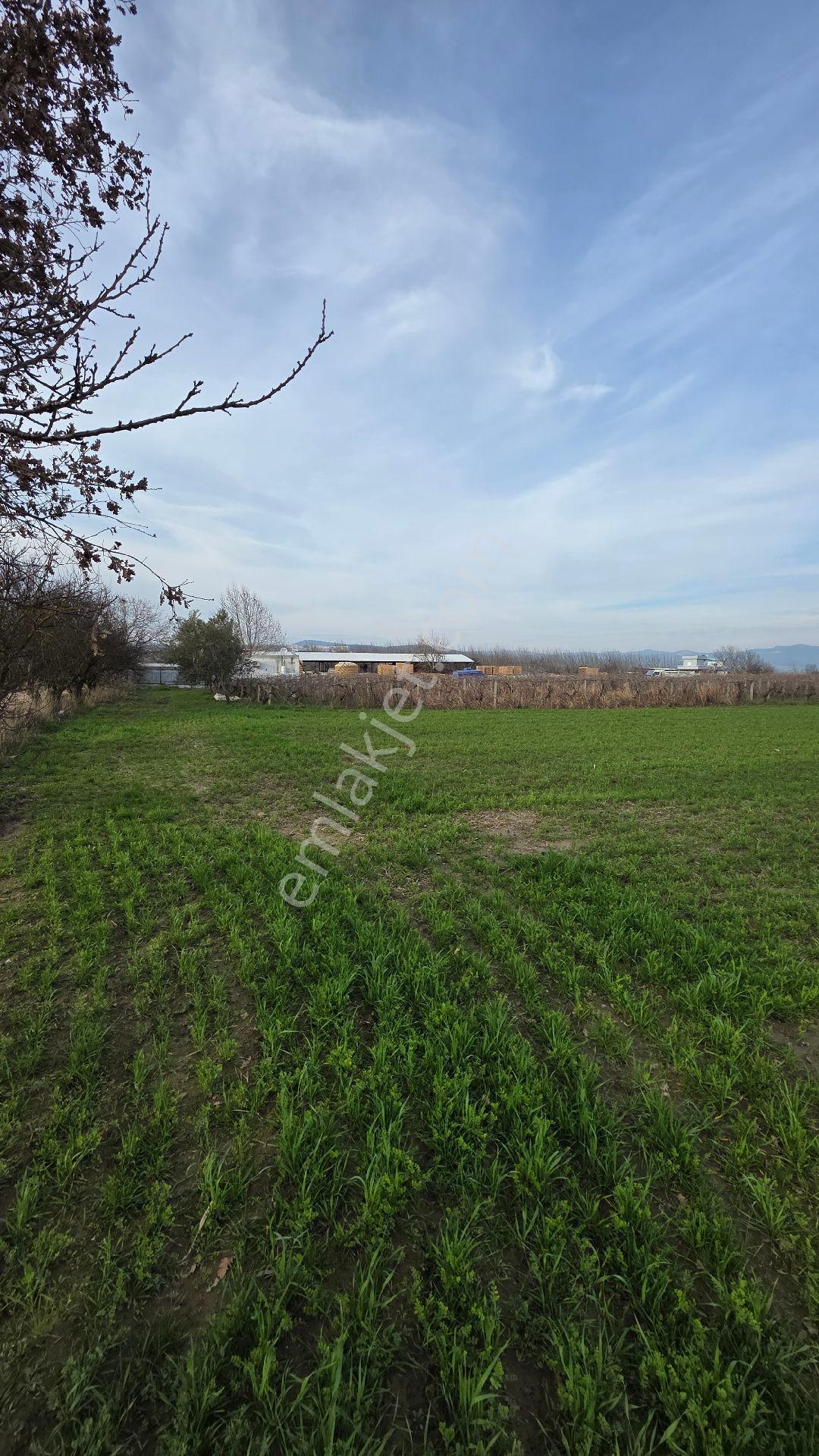 Manisa Muradiye – Cbü Kampüs Yoluyatırımlık | 19.150 M² | 3 Tapu | Tek Satış - Görsel 10