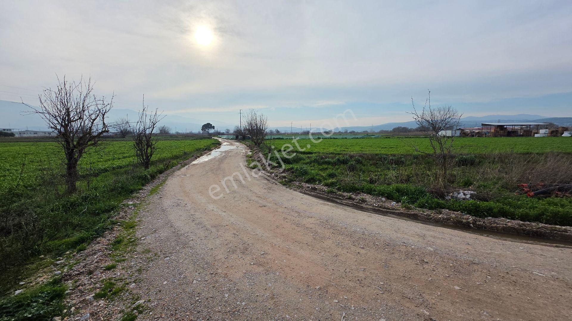 Manisa Muradiye – Cbü Kampüs Yoluyatırımlık | 19.150 M² | 3 Tapu | Tek Satış - Görsel 28