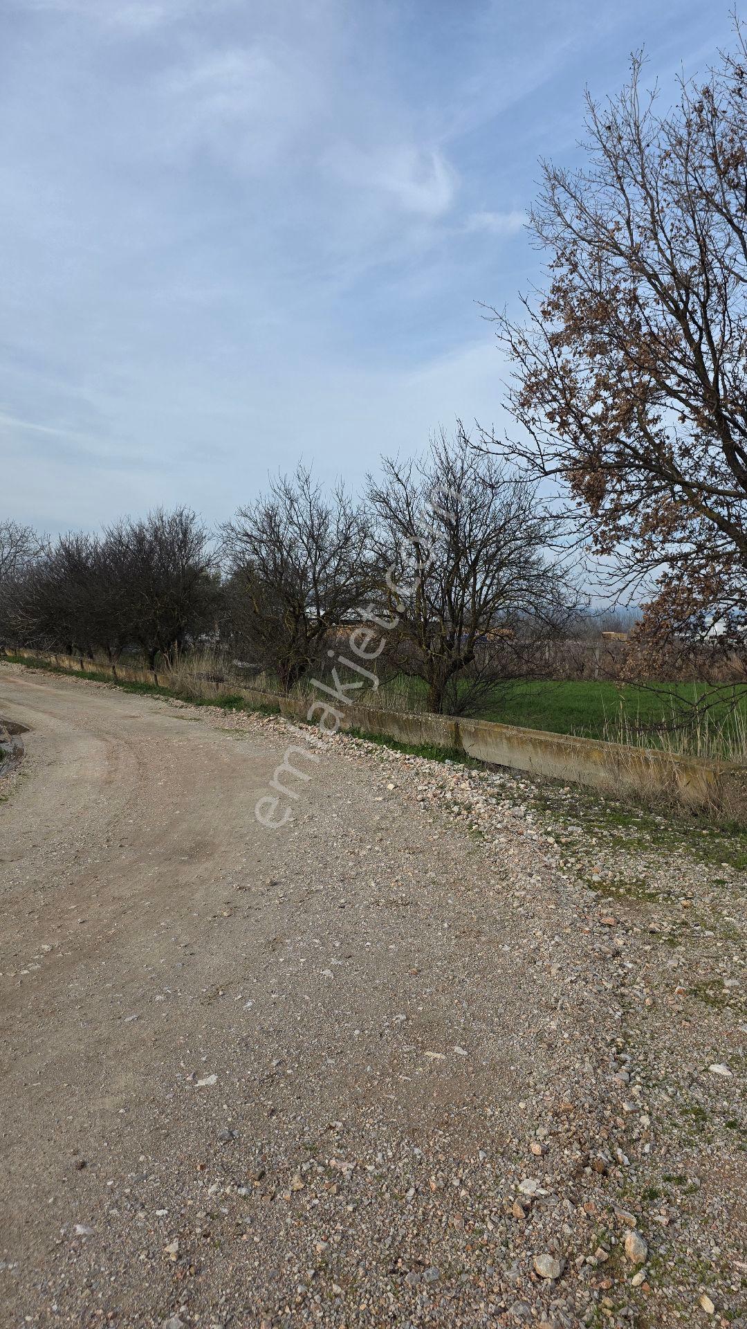 Manisa Muradiye – Cbü Kampüs Yoluyatırımlık | 19.150 M² | 3 Tapu | Tek Satış - Görsel 18