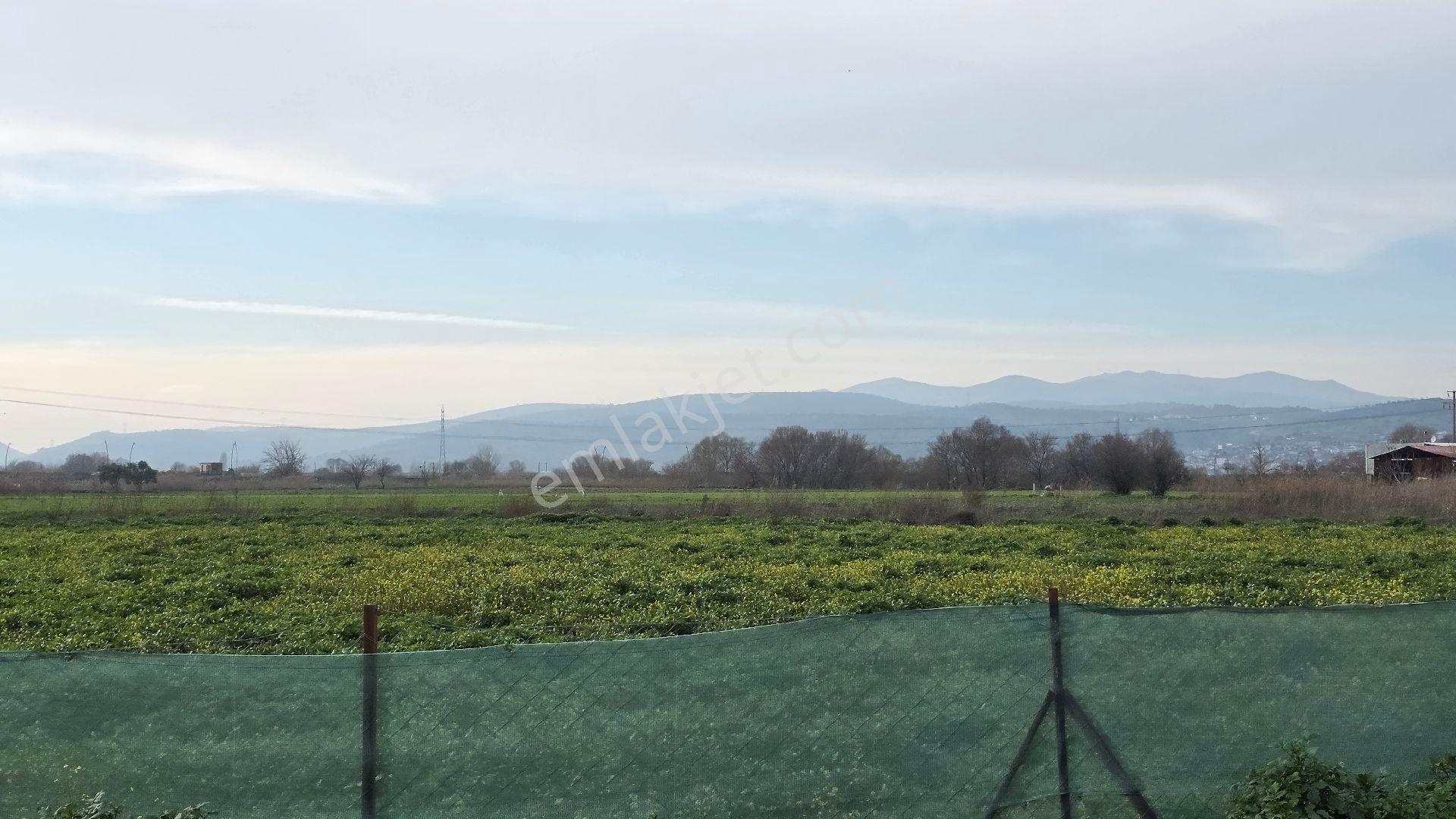 Manisa Muradiye – Cbü Kampüs Yoluyatırımlık | 19.150 M² | 3 Tapu | Tek Satış - Görsel 6