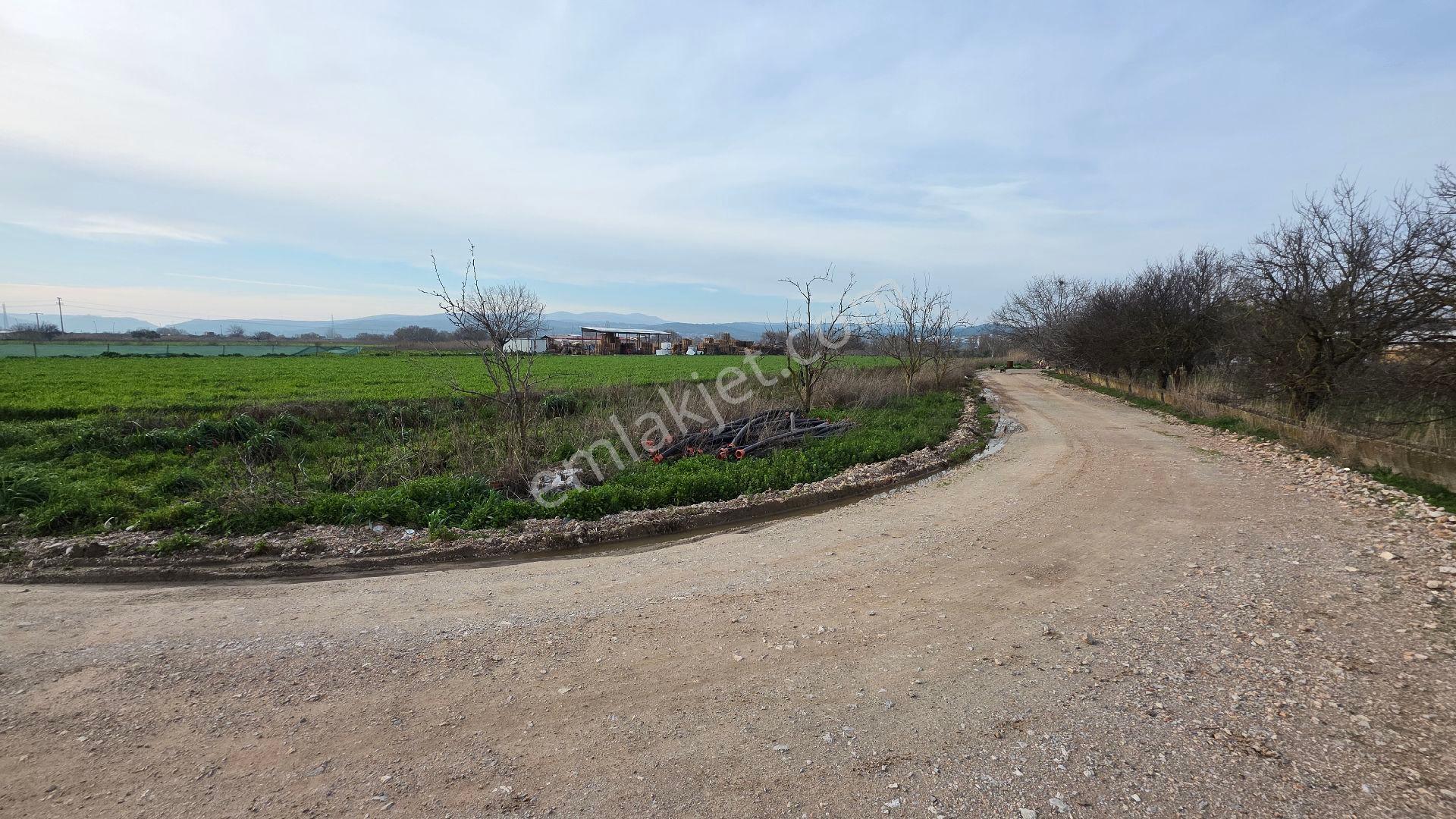 Manisa Muradiye – Cbü Kampüs Yoluyatırımlık | 19.150 M² | 3 Tapu | Tek Satış - Görsel 31