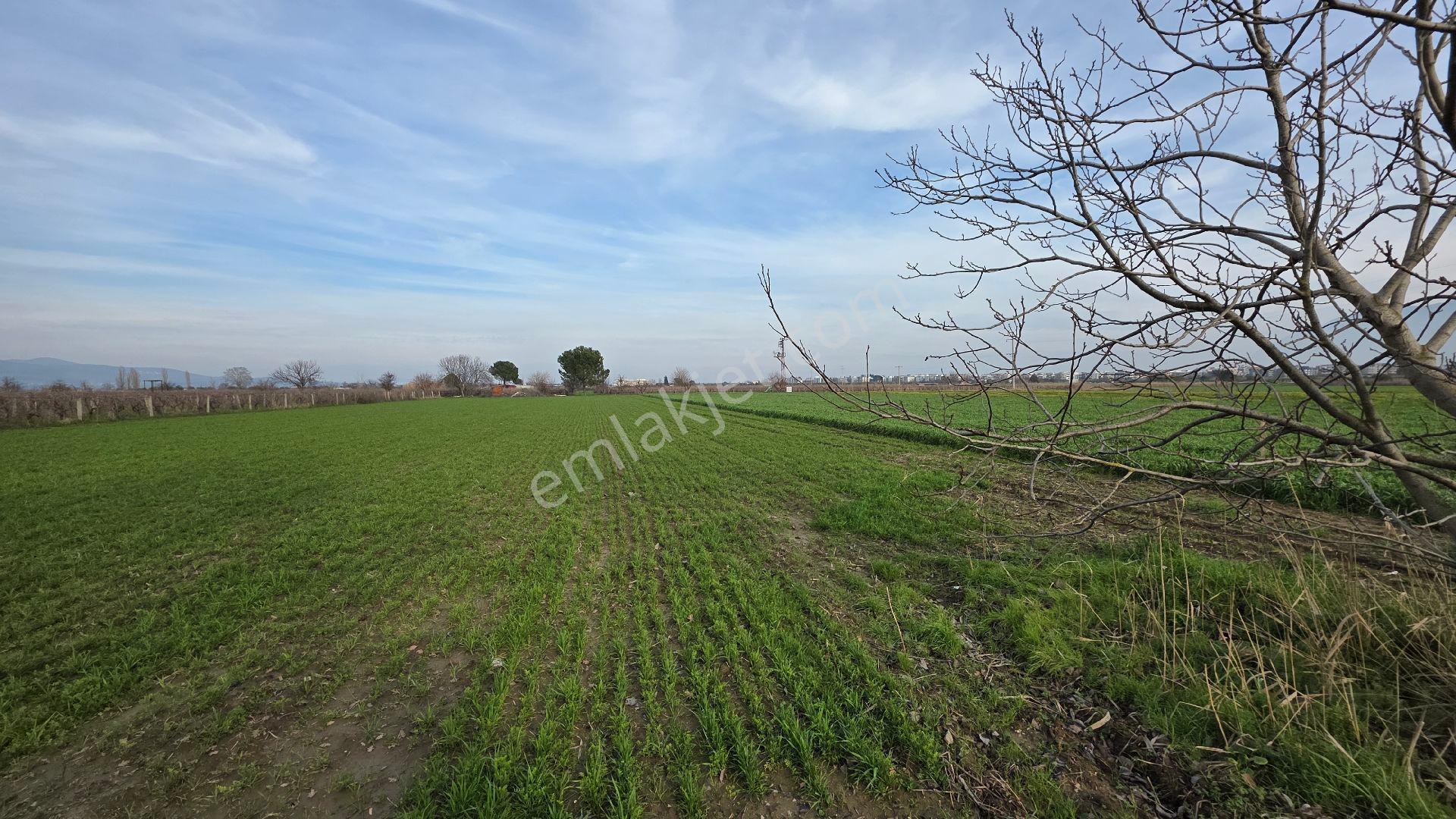 Manisa Muradiye – Cbü Kampüs Yoluyatırımlık | 19.150 M² | 3 Tapu | Tek Satış - Görsel 8
