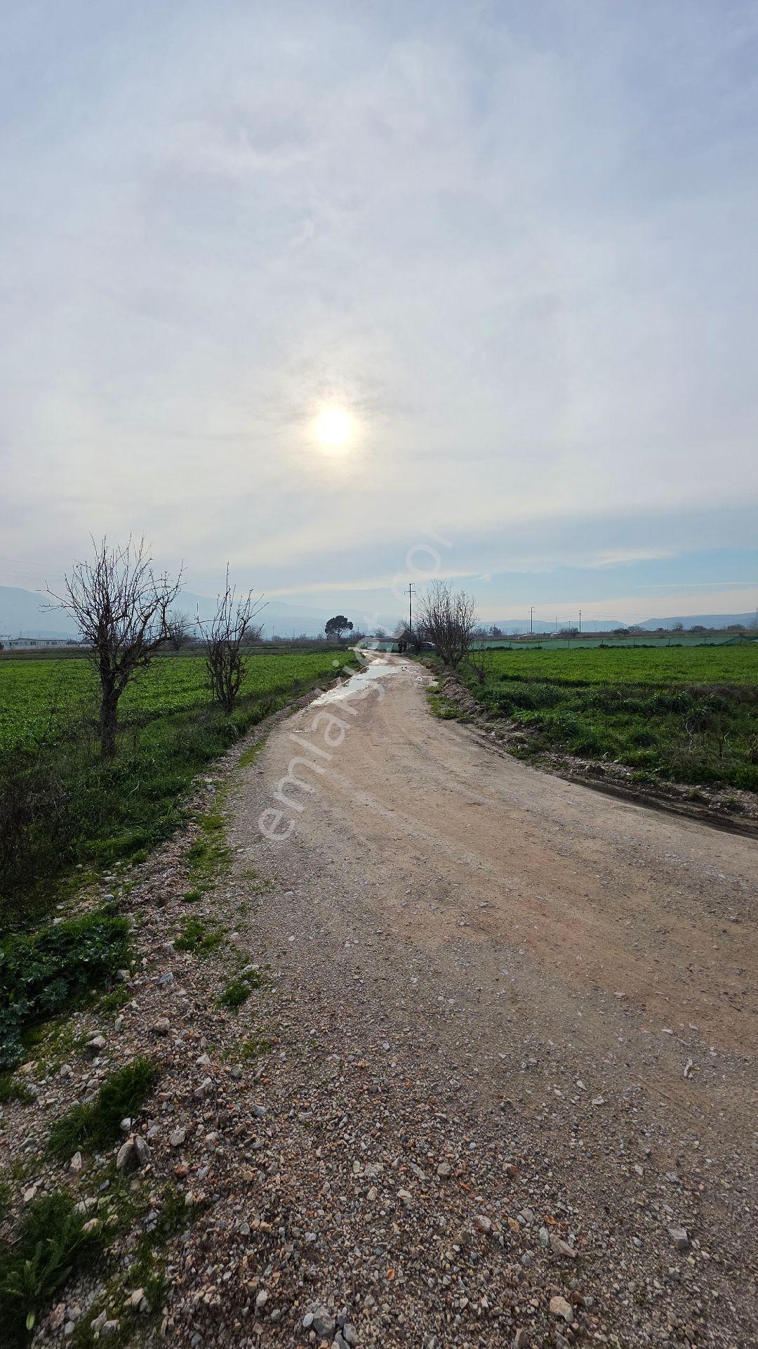 Manisa Muradiye – Cbü Kampüs Yoluyatırımlık | 19.150 M² | 3 Tapu | Tek Satış - Görsel 24