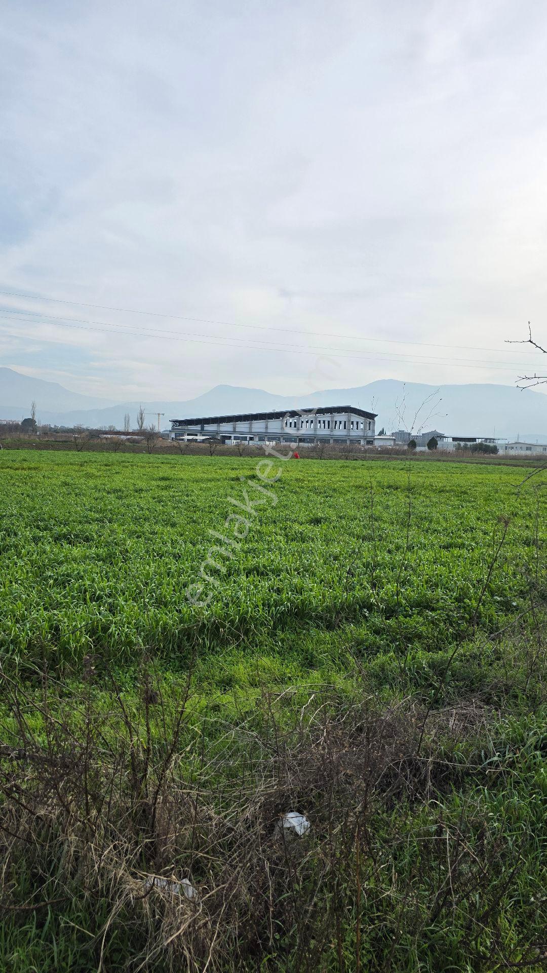 Manisa Muradiye – Cbü Kampüs Yoluyatırımlık | 19.150 M² | 3 Tapu | Tek Satış - Görsel 14