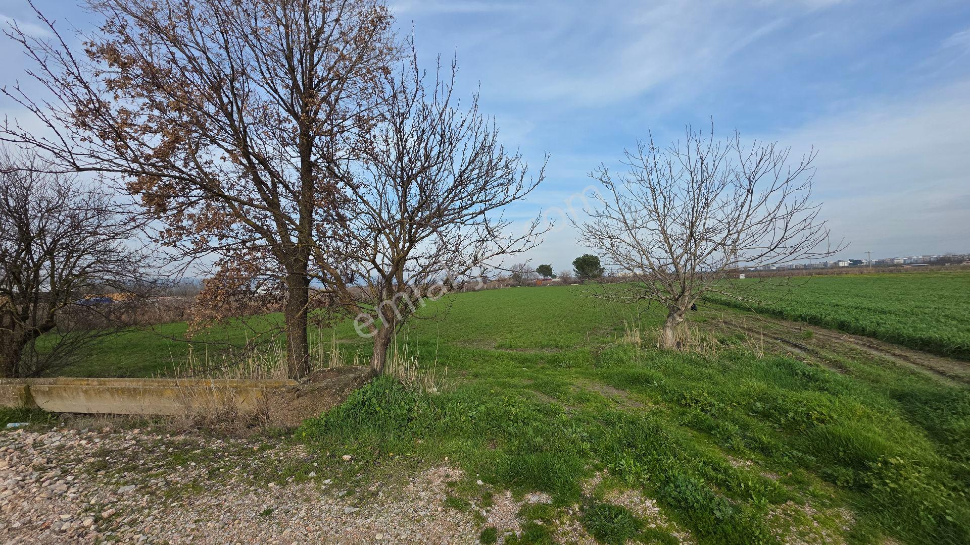 Manisa Muradiye – Cbü Kampüs Yoluyatırımlık | 19.150 M² | 3 Tapu | Tek Satış - Görsel 32