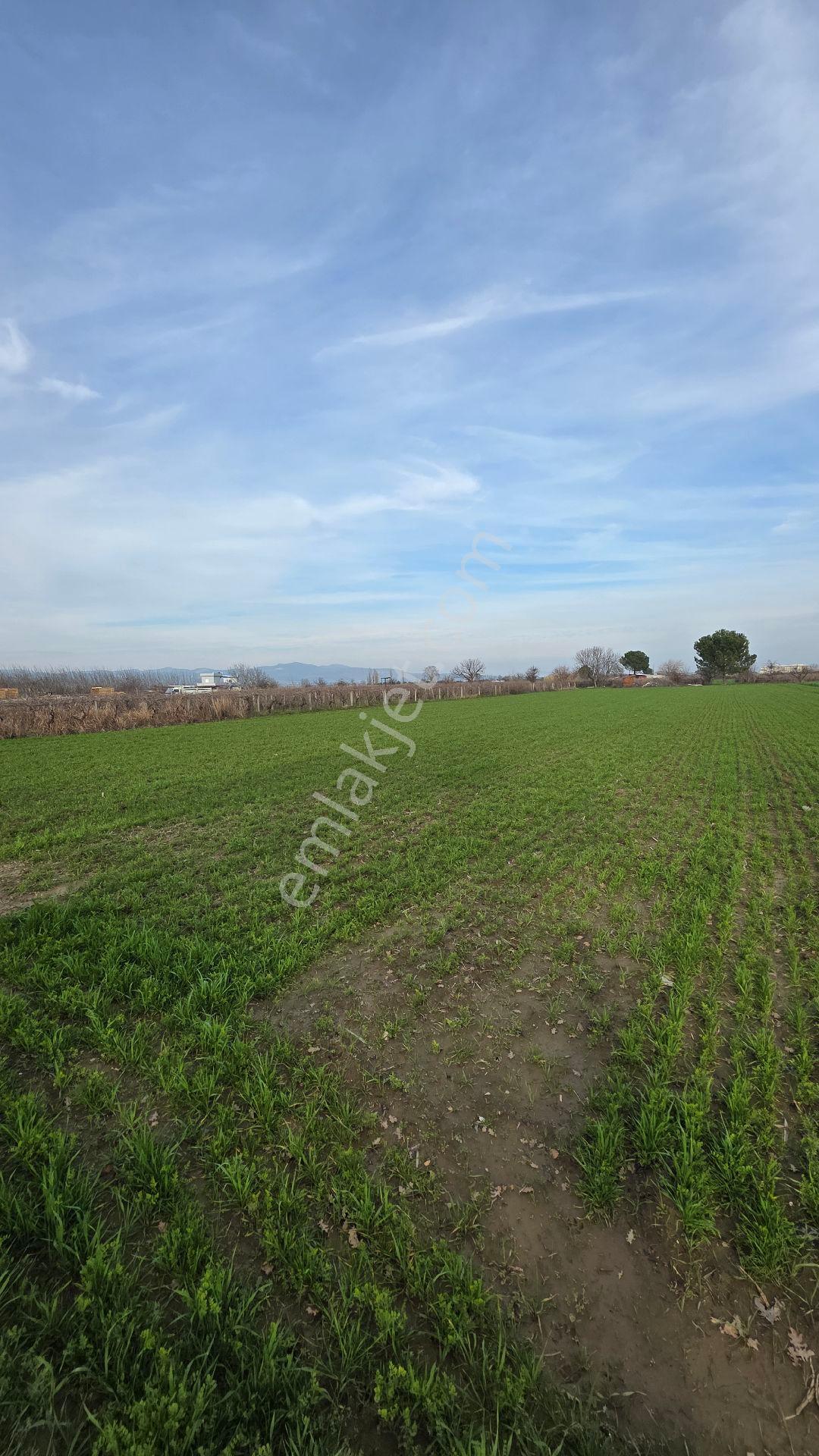 Manisa Muradiye – Cbü Kampüs Yoluyatırımlık | 19.150 M² | 3 Tapu | Tek Satış - Görsel 13