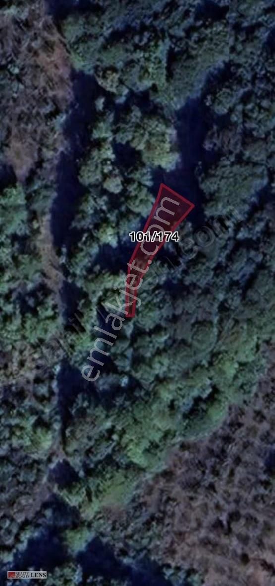 Kocaeli Kandıra Kubuzcu Mah 173 M2 Fındıklık