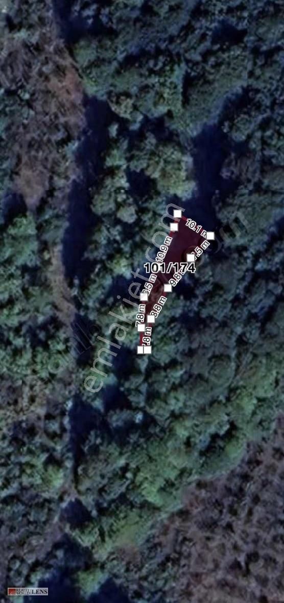 Kocaeli Kandıra Kubuzcu Mah 173 M2 Fındıklık - Görsel 6