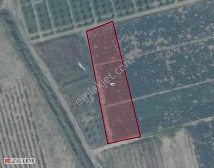 Pamukova Merkeze 2 Km Uygun Fiyatlı Tarla