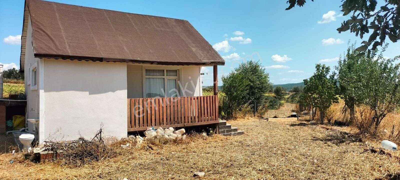 Çanakkale Merkez Dümrek'te Kapı Numaralı Bağ Evi Ve 65 Yetişkin Ağaç - Görsel 3