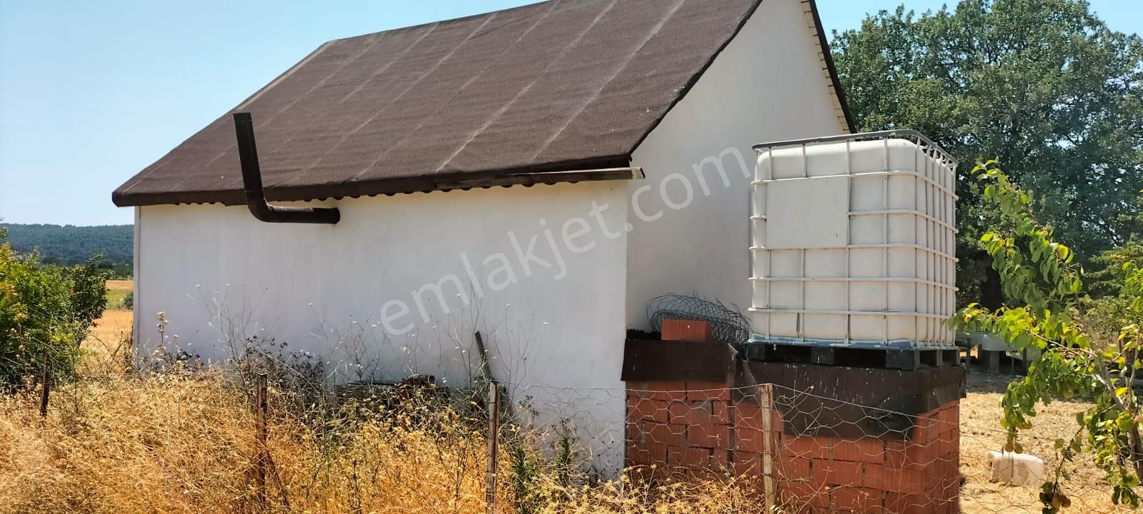 Çanakkale Merkez Dümrek'te Kapı Numaralı Bağ Evi Ve 65 Yetişkin Ağaç - Görsel 7