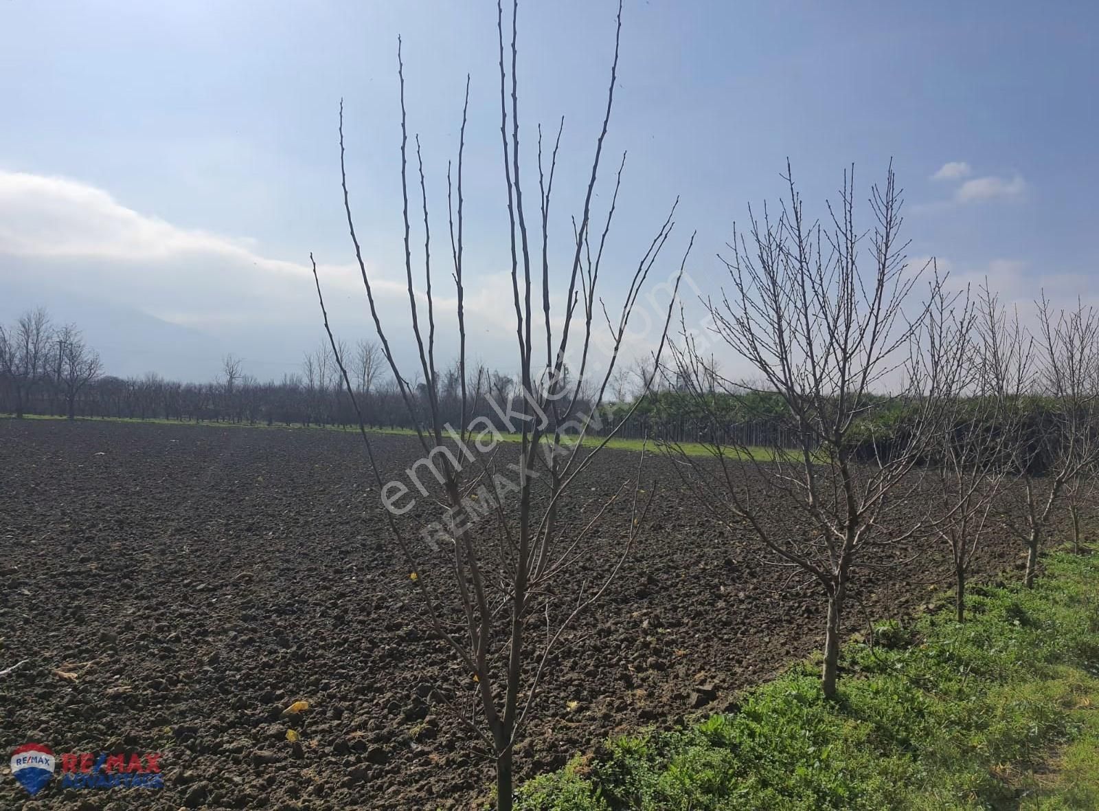 Remax Advantage'dan Yatırıma Uygun Trafolu & Sondajlı Tarla