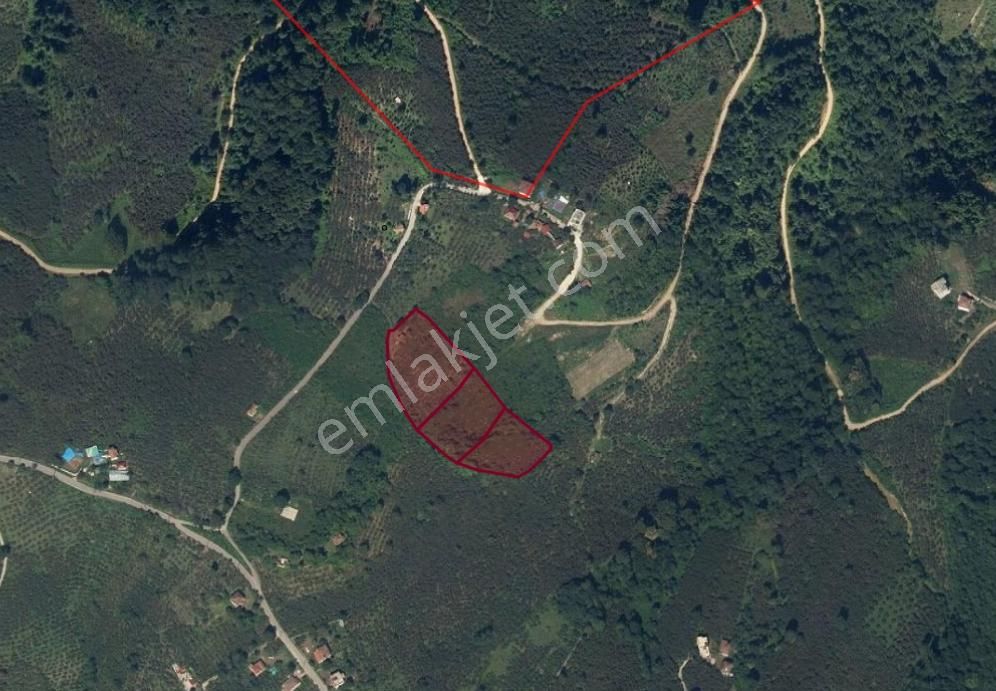 Eşsiz Doğa Manzaralı Bahçe İçerisinde Evi Olan Satılık Arazi - Görsel 4