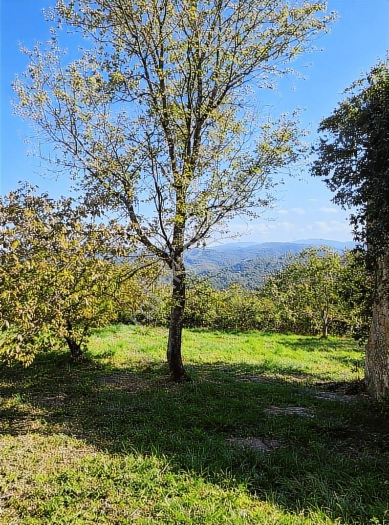 Eşsiz Doğa Manzaralı Bahçe İçerisinde Evi Olan Satılık Arazi - Görsel 10