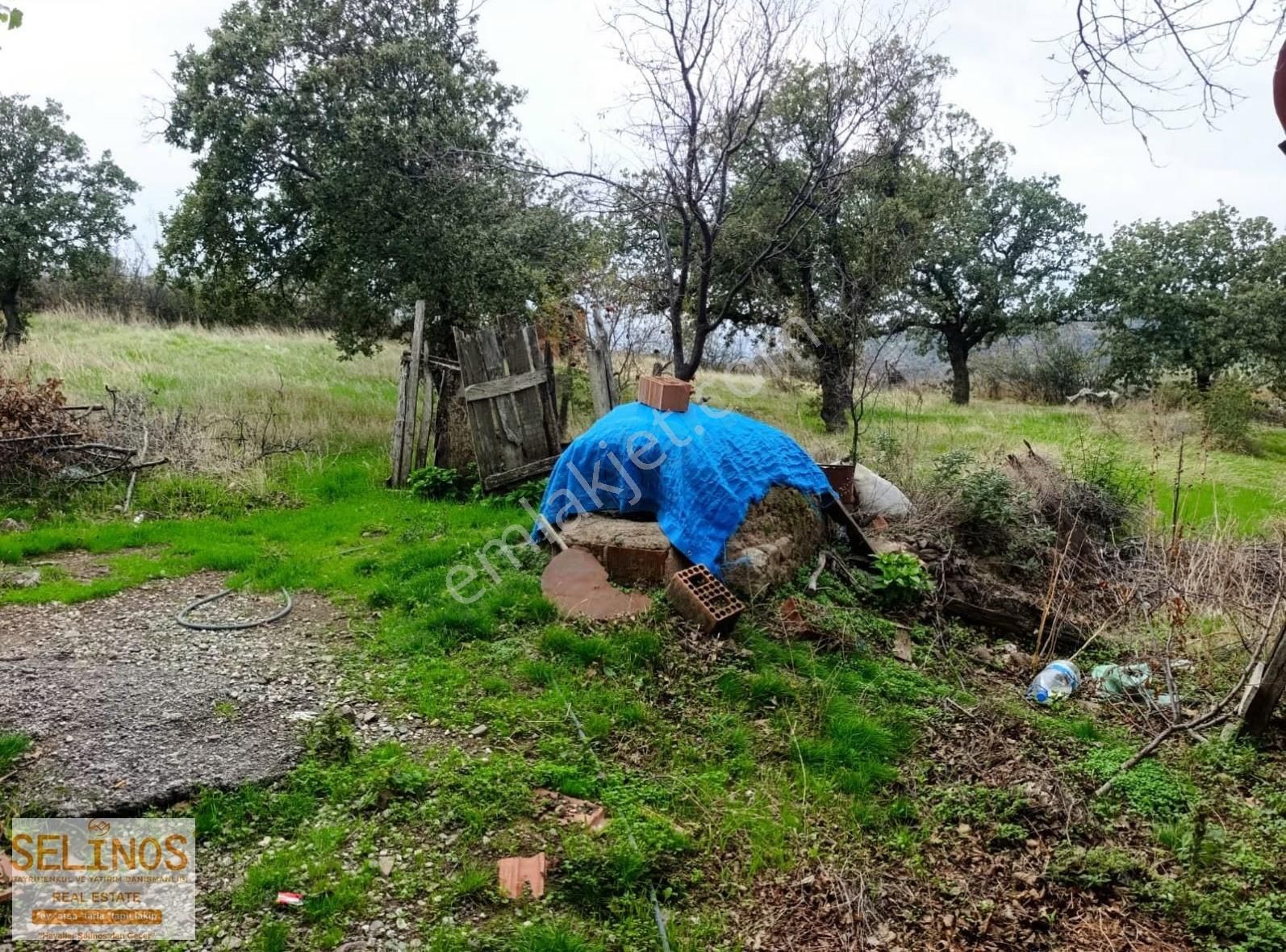 Dereköy'de Satılık Tavuk Çiftliği 8680 M2 - Görsel 9